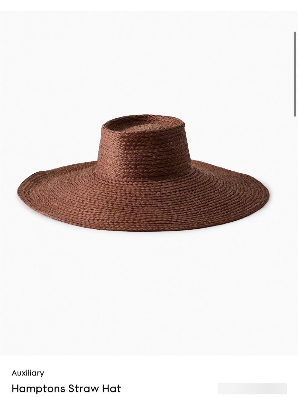 Like new Aritzia Auxiliary Hamptons Straw Hat.
